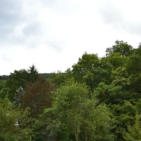 Ferienwohnung Panorama Apartment Bad Bertrich